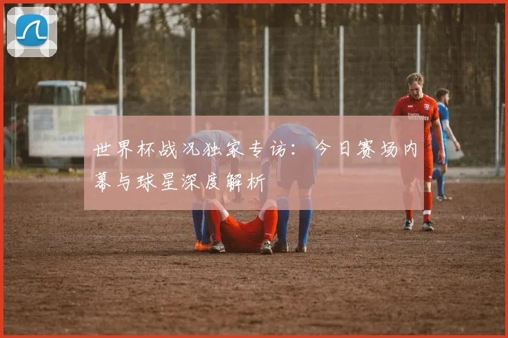 世界杯战况独家专访：今日赛场内幕与球星深度解析
