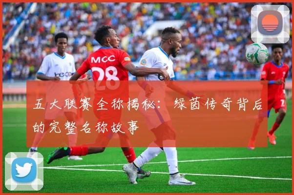 五大联赛全称揭秘:绿茵传奇背后的完整名称故事