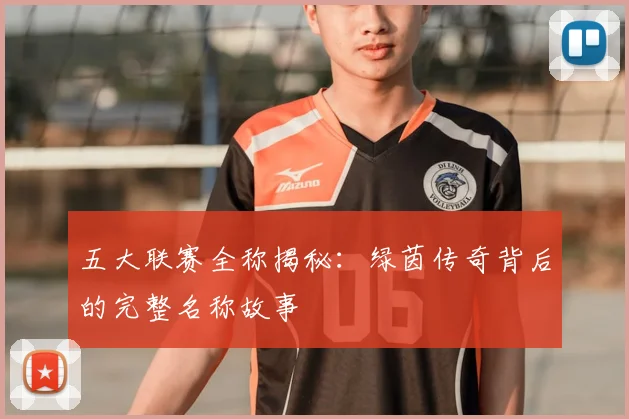 五大联赛全称揭秘：绿茵传奇背后的完整名称故事